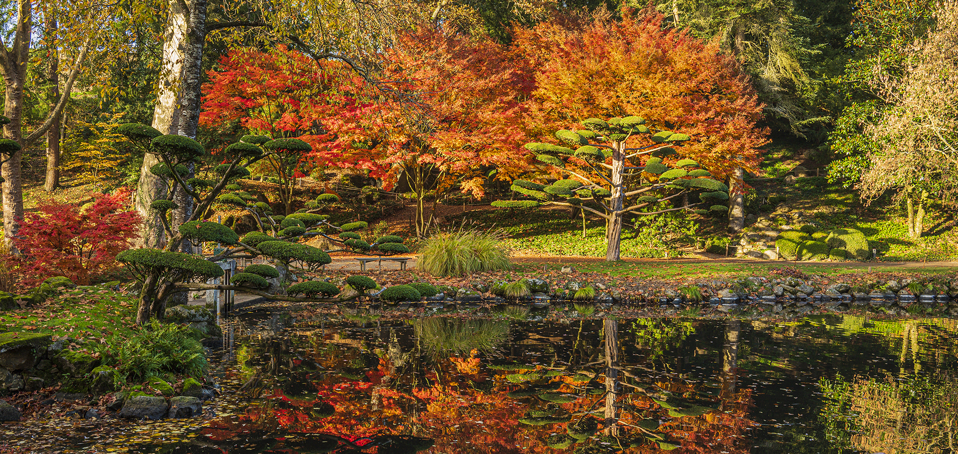 Parc Oriental de Maulévrier