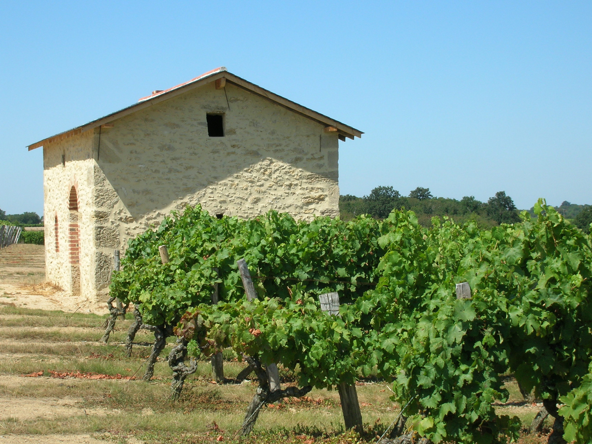 cabane-dans-les-vignes-c-estelle-dauvergne-2853833 - © Estelle Dauvergne