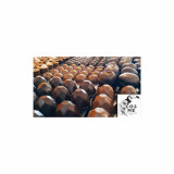 Chocolaterie Cosme