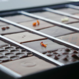 coffret-chocolat-2853780