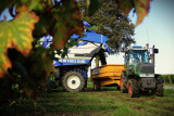 domaine-de-gatines-tigne-49-7-10-2024-9