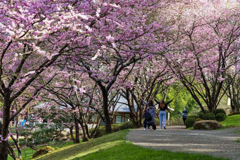 Cholet tourisme parc oriental maulévrier plus grand jardin japonais d'europe incontournable zen 