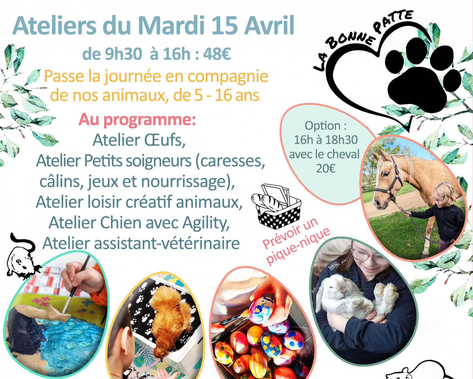 Atelier animaux de 5 à 16 ans