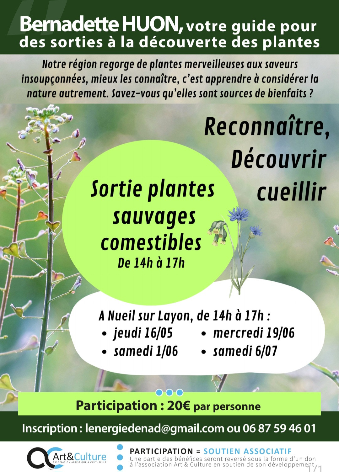 sortie-plantes-sauvages-comestibles-nueil-sur-layon-49