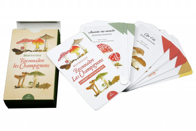 Reconnaître les champignons : Béatrice Guy - 2371091286 - Livres Jardin -  Nature