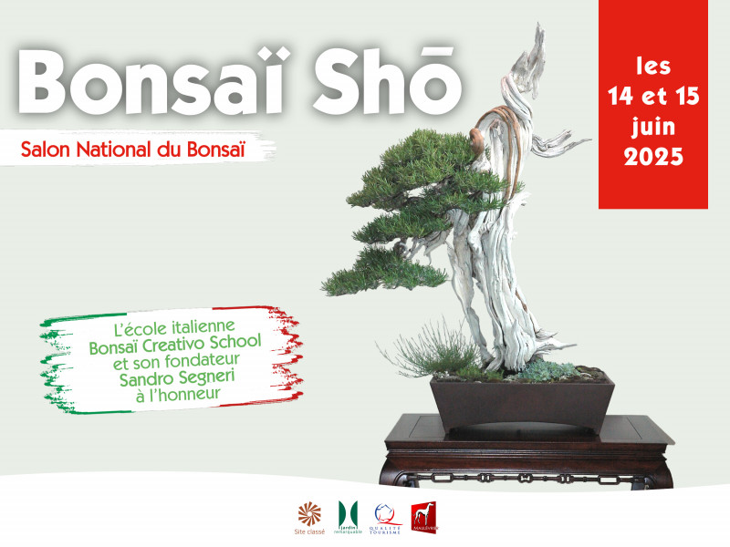 bonsai-sho-maulevrier-49