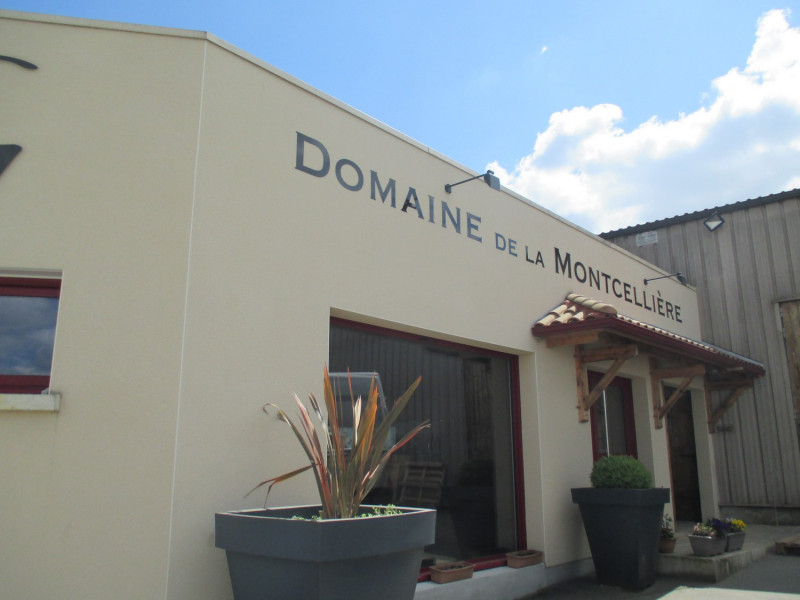 Portes Ouvertes Domaine Viticole Vin Vigne Vigneron Dégustation Noël