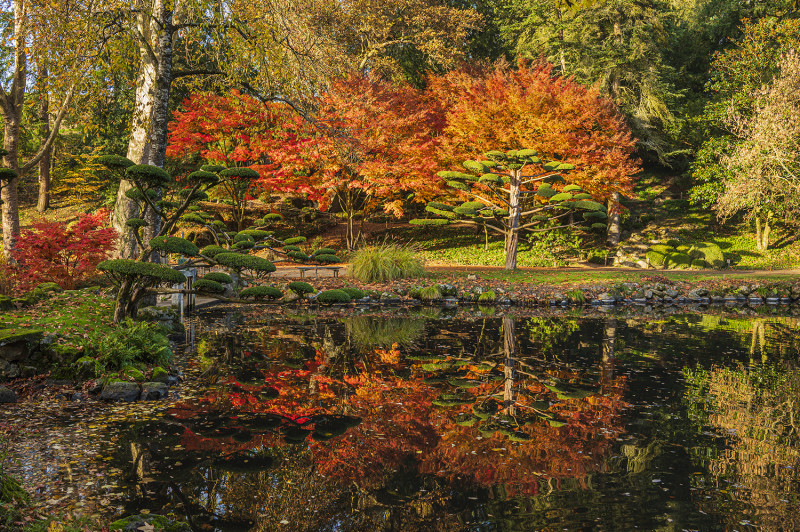 momiji-parc-oriental-de-maulevrier-49