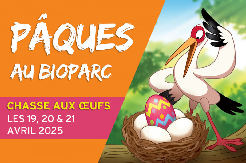 paques-bioparc-doue-49