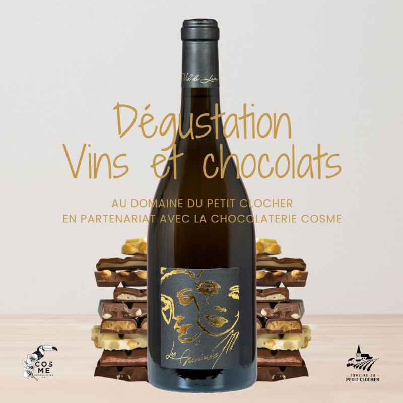 Visite Domaine Vin Vignoble Dégustation Chocolats